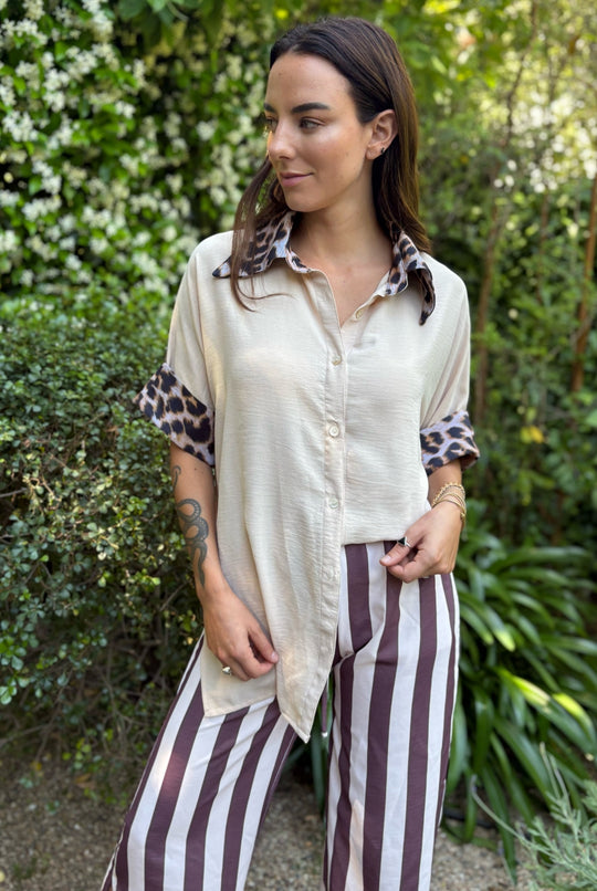 Pantalon Bolonia BROWN